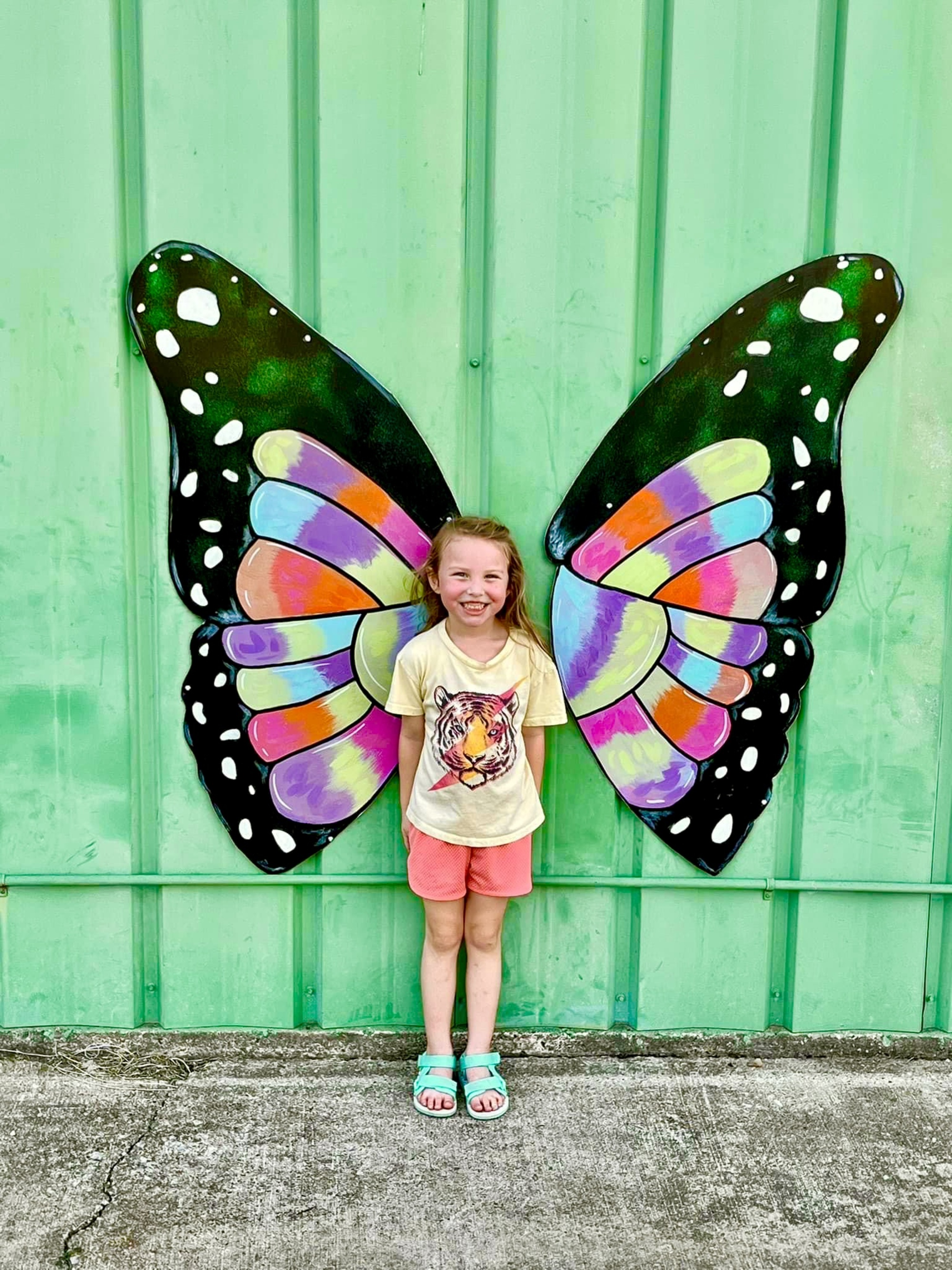 Butterfly Mural