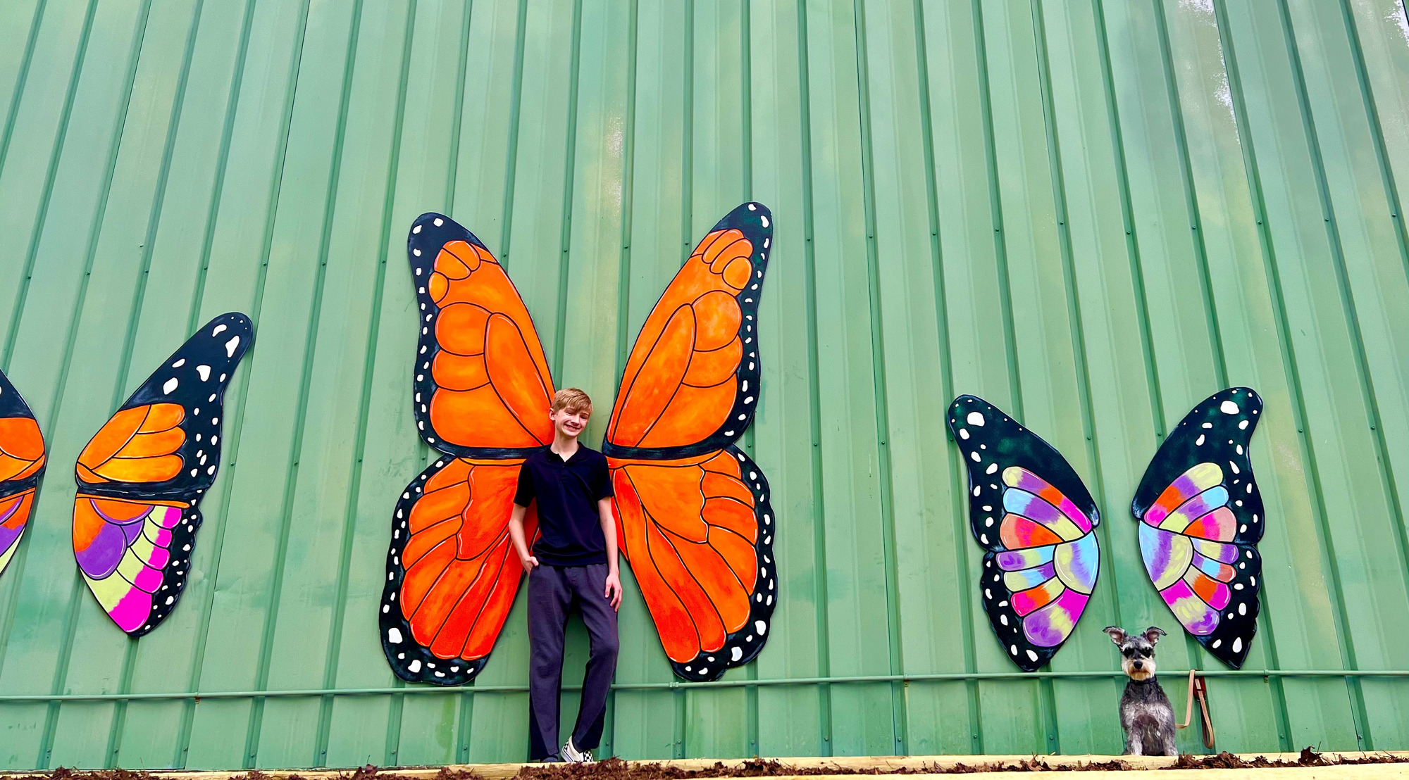 Butterfly Mural